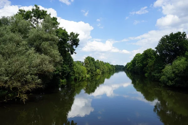 Rein rivier met bomen — Stockfoto