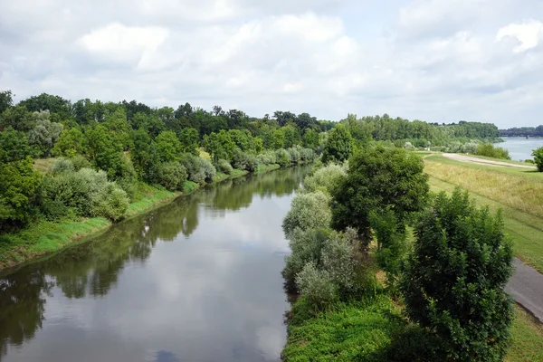 Рейн и плотина рядом с лесом — стоковое фото