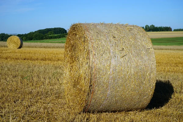 Straw on the field — Stock Photo, Image