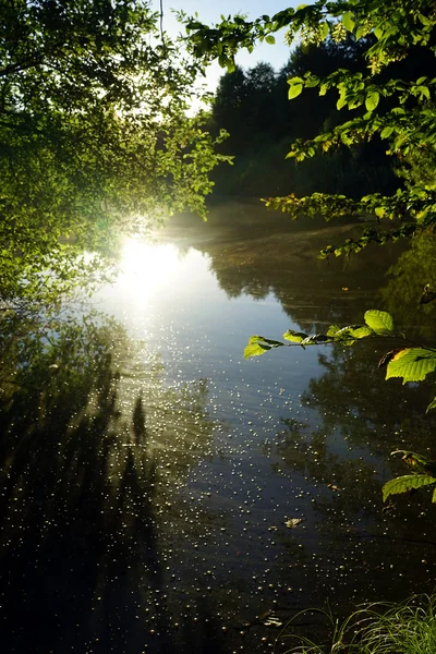 Solljus refction på vattnet — Stockfoto