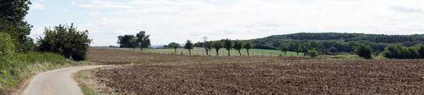 Straße und geschuldetes Land — Stockfoto