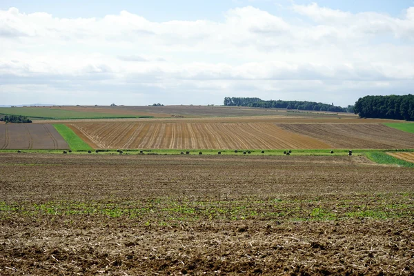 Pól rolniczych w Luksemburgu — Zdjęcie stockowe