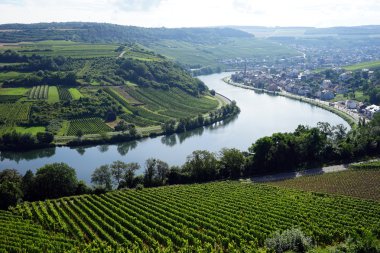 Mosel vadinin görünümü