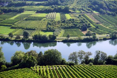Mosel vadinin görünümü