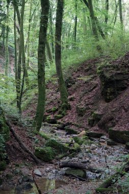 Küçük dağ geçidi nehirde