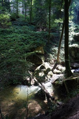 Güneş ışığı ve nehir