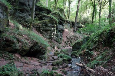 ormandaki küçük nehir