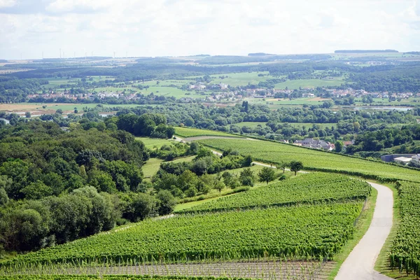 Vingården sand road — Stockfoto