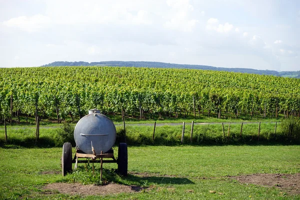 Réservoir et vignoble — Photo