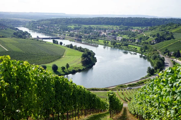 A folyó Vineyard — Stock Fotó