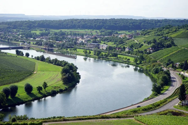 Moselle Nehri ve üzüm bağları — Stok fotoğraf