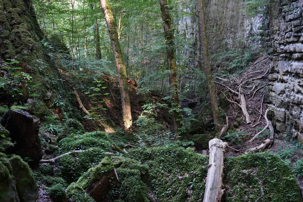 Gyalogút Ardennekben — Stock Fotó