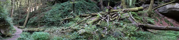 Vandringsled i Ardennerna — Stockfoto