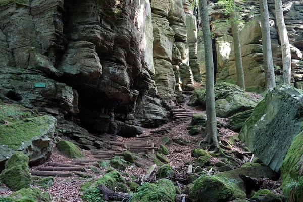 Fußweg in den Ardennen — Stockfoto