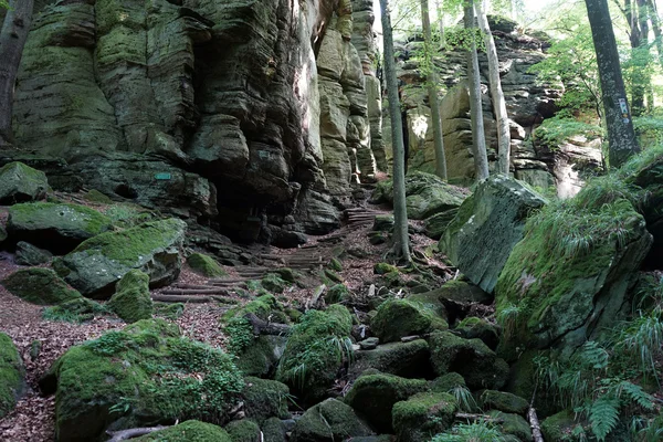 Passo a passo em Ardenas — Fotografia de Stock