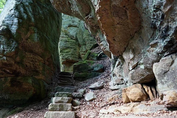 Sendero cerca de rocas — Foto de Stock