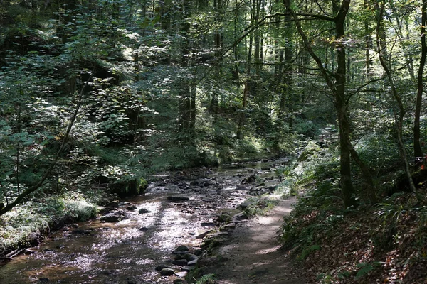 Fußweg und Fluss — Stockfoto