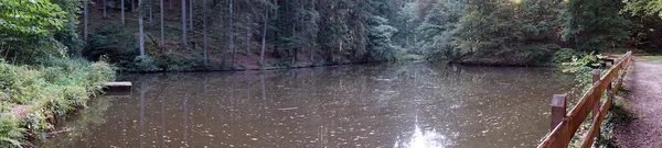 Lac dans la forêt — Photo