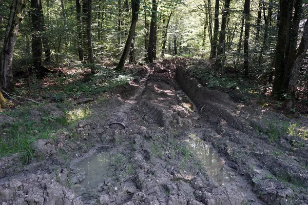 Zwembaden en natte onverharde weg — Stockfoto