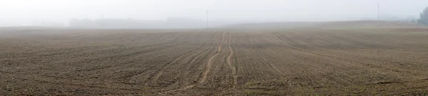 Plowed land and mist — Stock Photo, Image