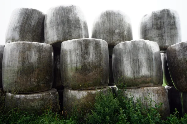 Heap of hay rolls — Stock Photo, Image