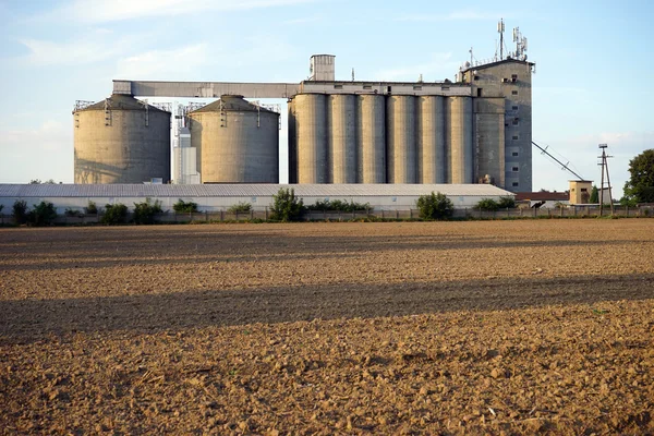 Graan opslag en veld — Stockfoto