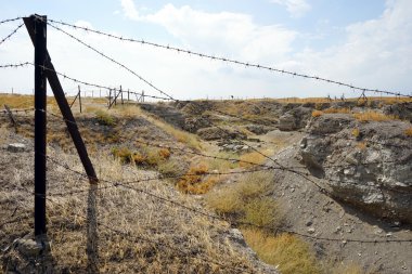 Champ de maïs à la récolte