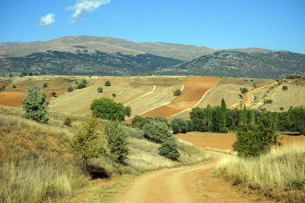 Camino de tierra —  Fotos de Stock