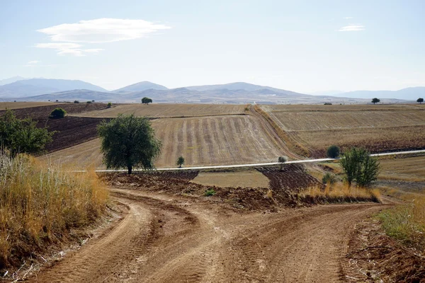 Estrada de terra — Fotografia de Stock