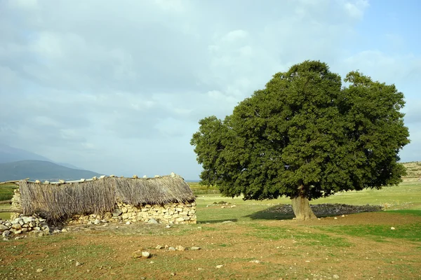 Ahır — Stok fotoğraf