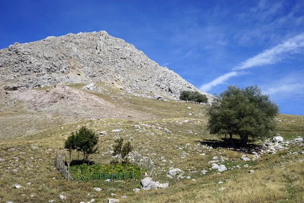 Jardín — Foto de Stock