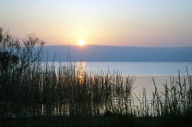 Kinneret