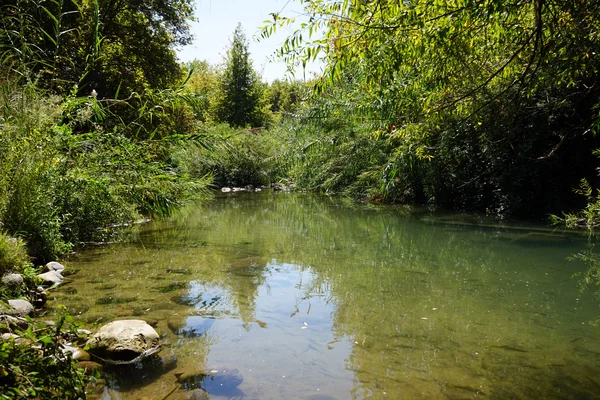 Senir river — Φωτογραφία Αρχείου