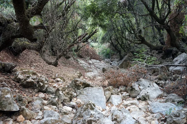 Dağ geçidi — Stok fotoğraf