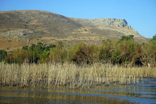 Kinneret — Foto Stock