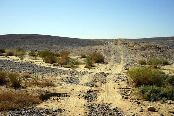 Negev desert — Stock Photo, Image
