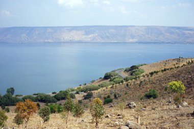 Kinneret