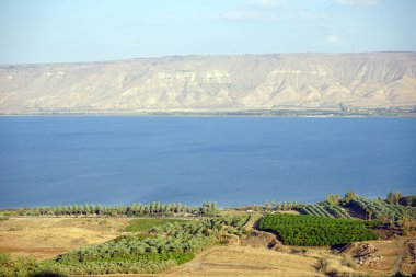 Kinneret