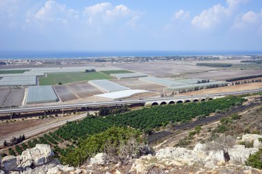 Akdeniz kıyılarında