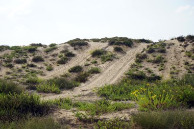 Parça ve dunes
