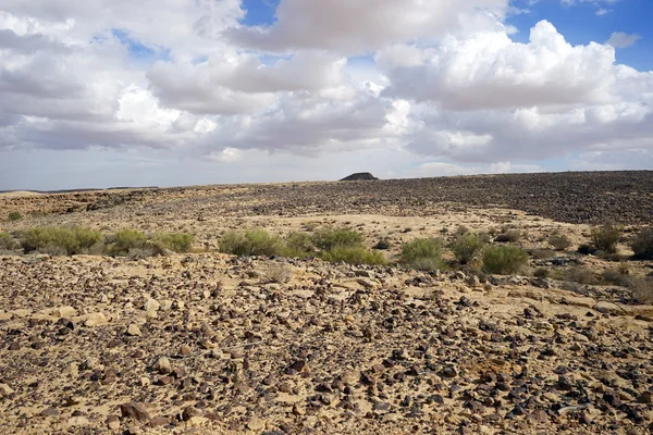 Stone desert — Stock Photo, Image