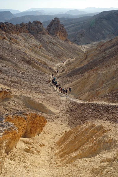 Backpackers — Stock Photo, Image