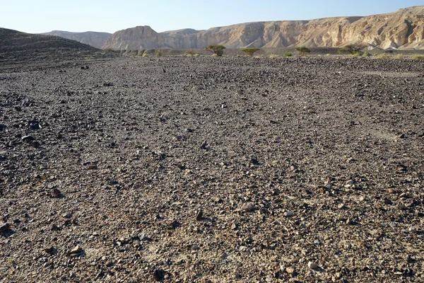 Deserto de Negev — Fotografia de Stock