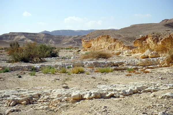 Wadi — Stok fotoğraf