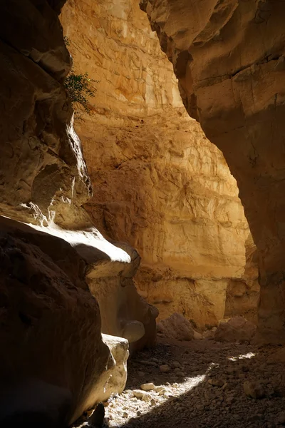 Barak canyon — Stockfoto