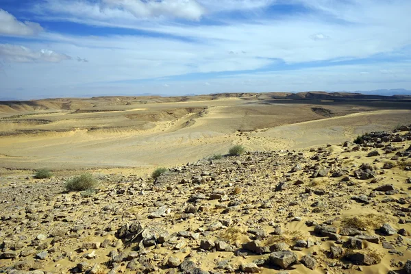 Dune de Kasui — Photo