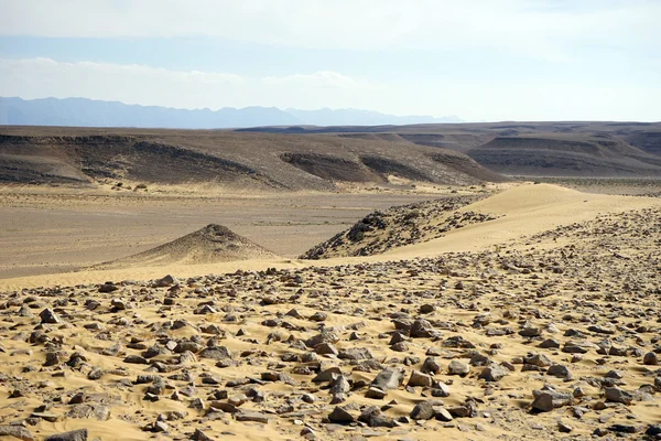 Kasui dune — Stock Photo, Image