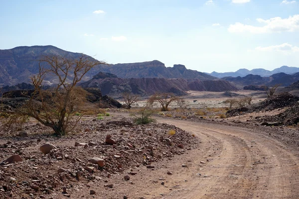 Dirt road — Stock Photo, Image