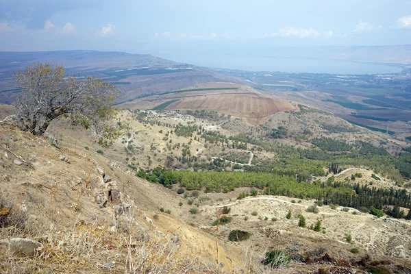 På stranden av Kinneret — Stockfoto