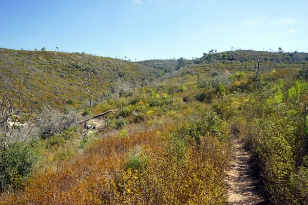 Sendero — Foto de Stock